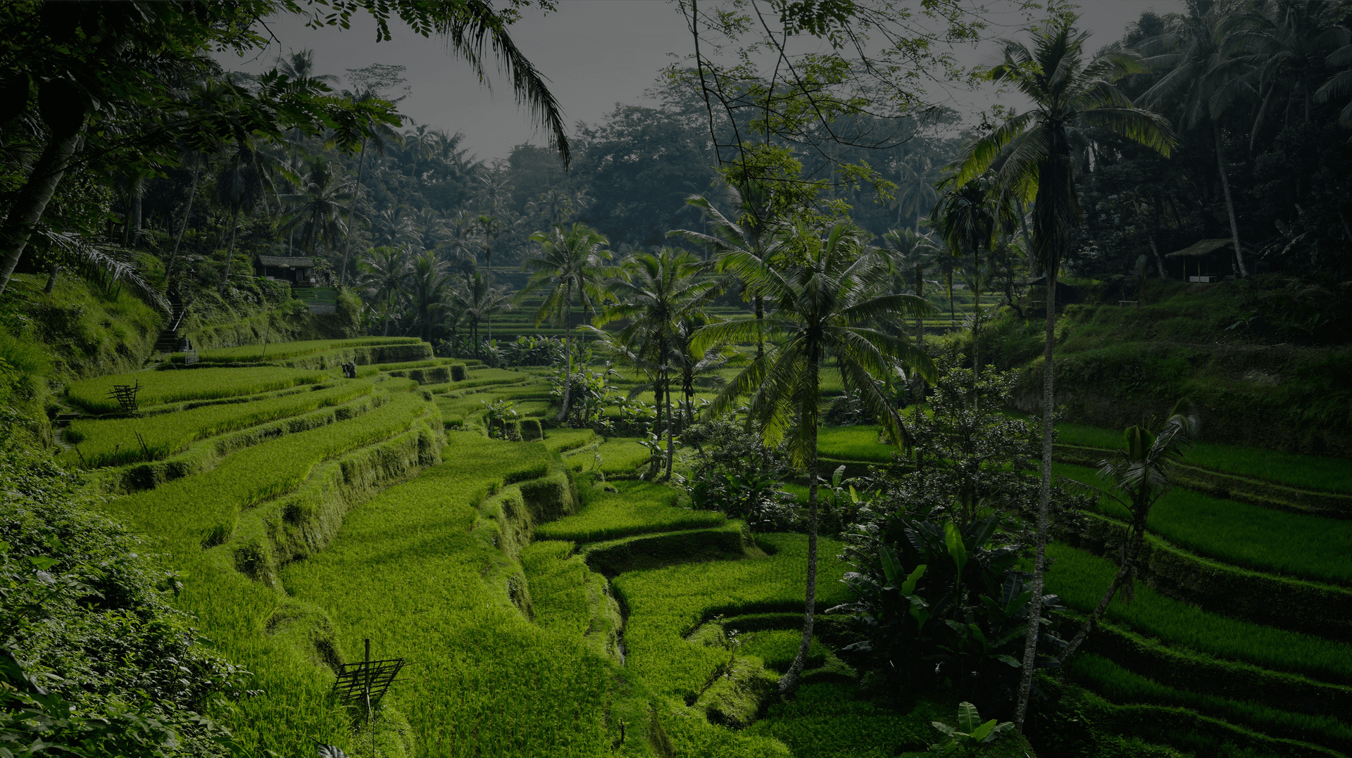 Betah Holiday Bali Adventure